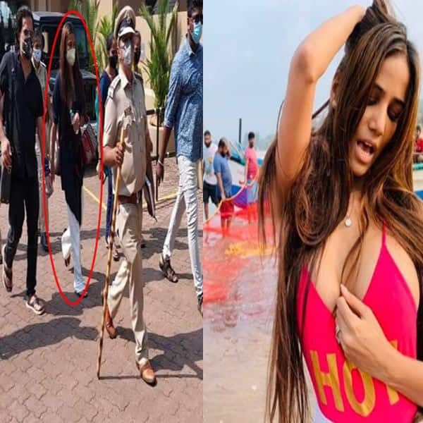 poonam pandey arrested for shooting obscene video in goa : गोवा में अश्लील  वीडियो शूट करने के आरोप में पूनम पांडे गिरफ्तार, मामले में पूछताछ करेगी  पुलिस