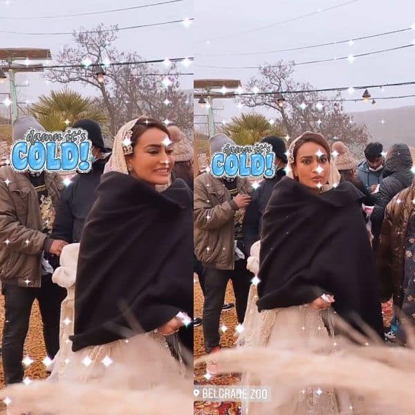BTS