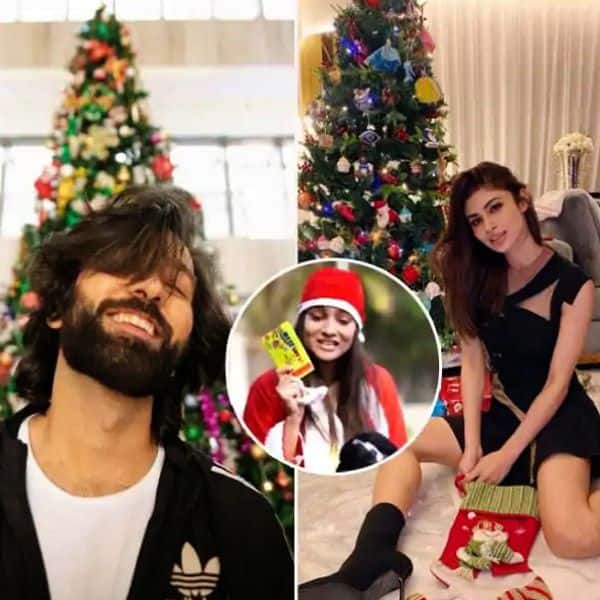 THESE TV stars celebrate Christmas with family