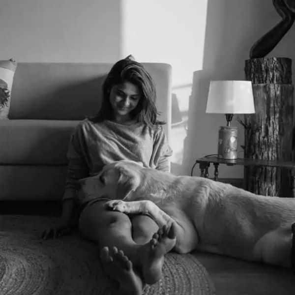 Jennifer Winget