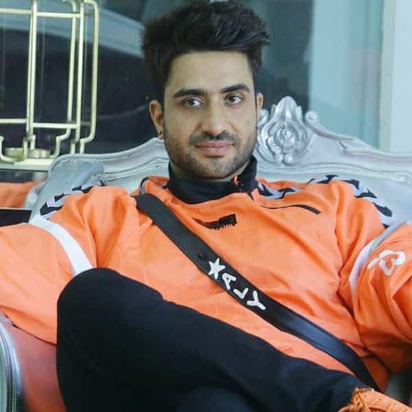 Bigg Boss 14: Did Aly Goni lose the plot while playing the ...