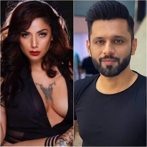 Bigg Boss 14 Diandra Soares Hits Out At Rahul Vaidyas Old Tweet About