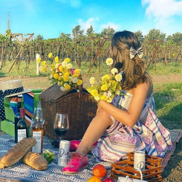 Picnic with a view