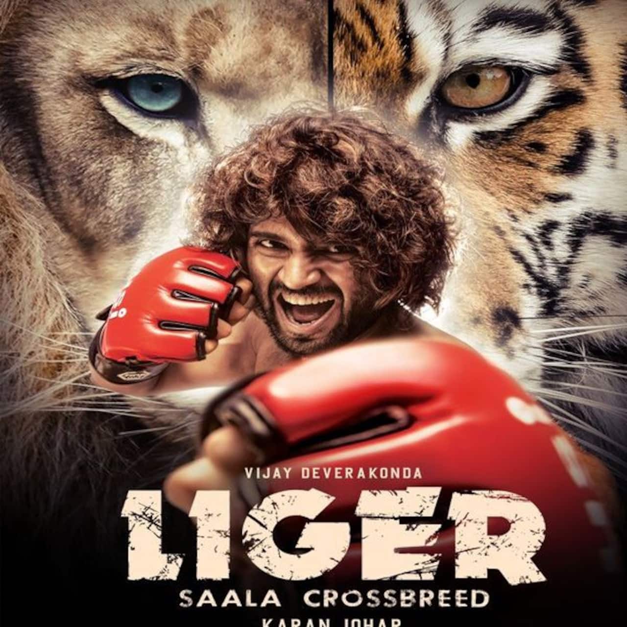 Was Vijay Deverakonda's Bollywood debut with Liger a planned moved ...