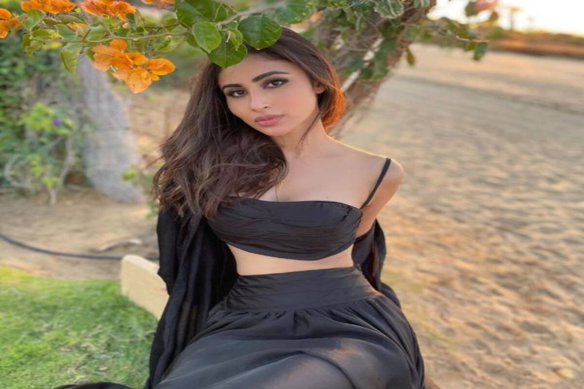 Naagin Actress Mouni Roy To Tie The Knot With Dubai Based Banker Suraj Nambiar Here S What We Know Suraj nambiar has disabled new messages. naagin actress mouni roy to tie the