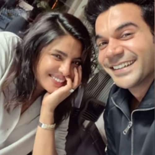 The White Tiger Latest News Photos And Videos Of The White Tiger Bollywood Life The white tiger is a kinetic excursion into darkness with balram as our charismatic guide. the white tiger latest news photos