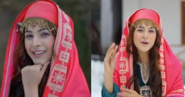 Bollywood News: Shehnaaz Gill dancing to Preity Zinta and ...