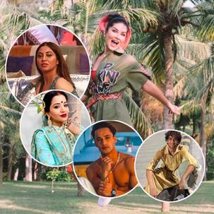 Bigg Boss में आकर इन सितारों की फैंन फॉलोइंग में हुआ था इजाफा, ट्राफी नहीं बल्कि जीते थे करोड़ों दिल