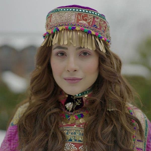 Another music video for Shehnaaz