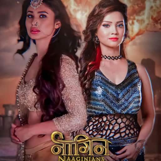 Eternal Naagin
