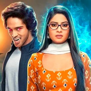 Kuch Toh Hai – Naagin Ek Naye Rang Mein, March 21, 2021, written update: Pam conspires to kill Rehan after asking Priya to leave the house