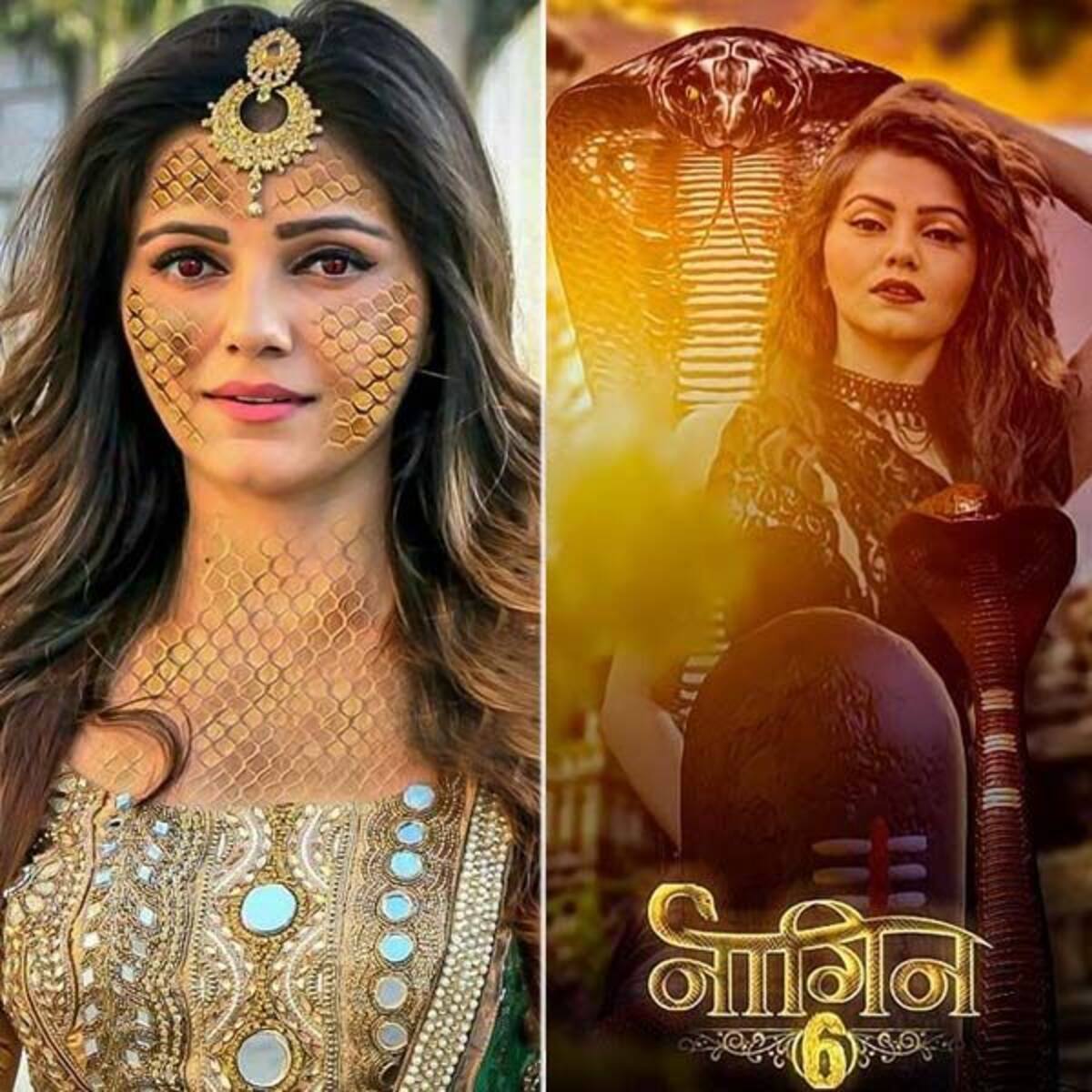 Naagin 6 से जुड़ा Rubina Dilaik का नाम तो फैंस ने सोशल मीडिया पर की  खुराफात, जलन के मारे Jasmin Bhasin के फैंस ने किया ये काम