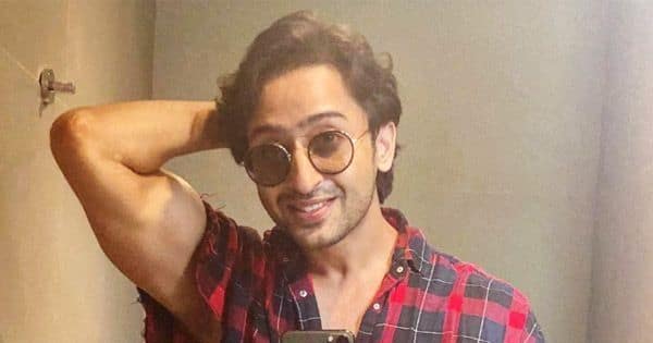 Happy Birthday, Shaheer Sheikh: 6 reasons why fans love the Mahabharat actor - Bollywood Life