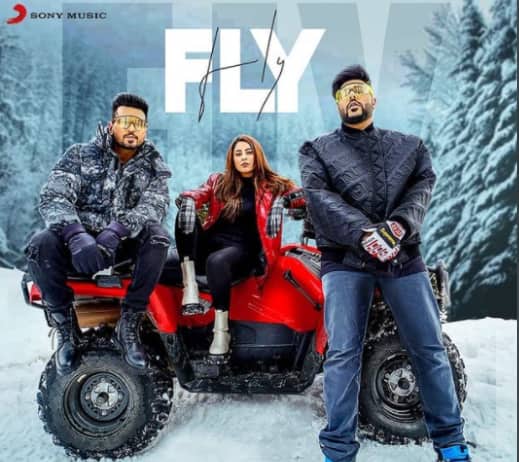 Fly: Badshah-Shehnaaz Gill's song wins over social media; Bigg Boss fans notice the 'FLIP' connect — read tweets
