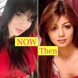 पहले से काफी बदल चुकी है Wanted गर्ल Ayesha Takia, शॉकिंग ट्रांसफॉर्मेशन देख Salman Khan को भी नहीं होगा विश्वास