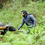 Bhediya: Varun Dhawan connects with animals and other BTS images from the sets that show how well he gets into werewolf mode