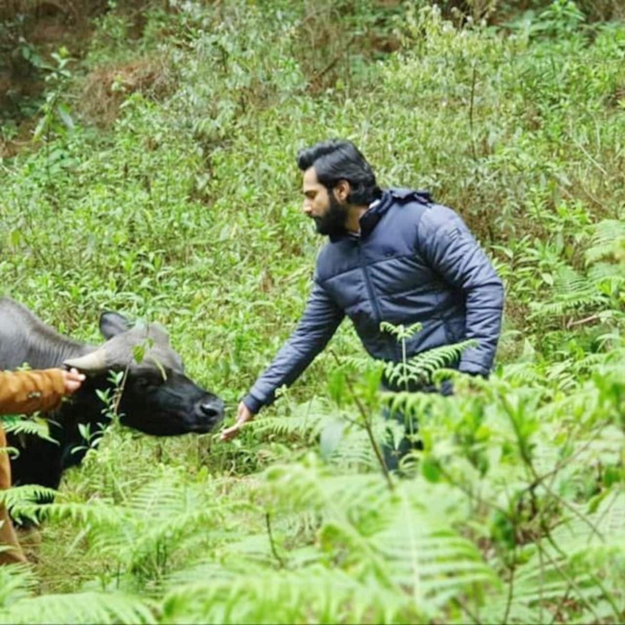 Bhediya: Varun Dhawan bonding with animals and other BTS pics from the sets  that show how well he's getting into 'werewolf' mode