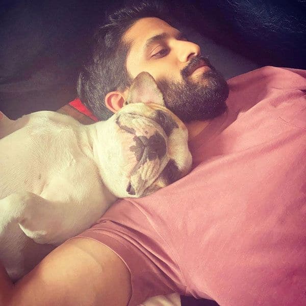 What a lazy day looks like!