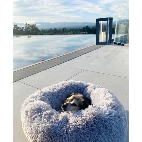 What a view!
