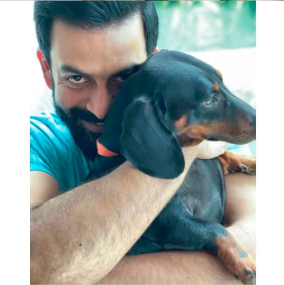 Prithviraj Sukumaran