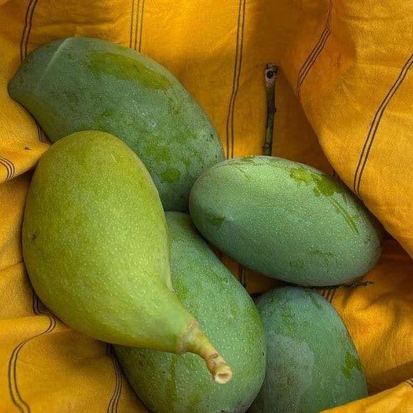 Yummy