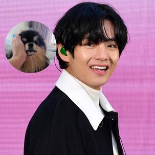 BTS' V treats giveaway winner with Yeotan's video late in the night and ARMY cannot handle Tannie's cuteness – view tweets