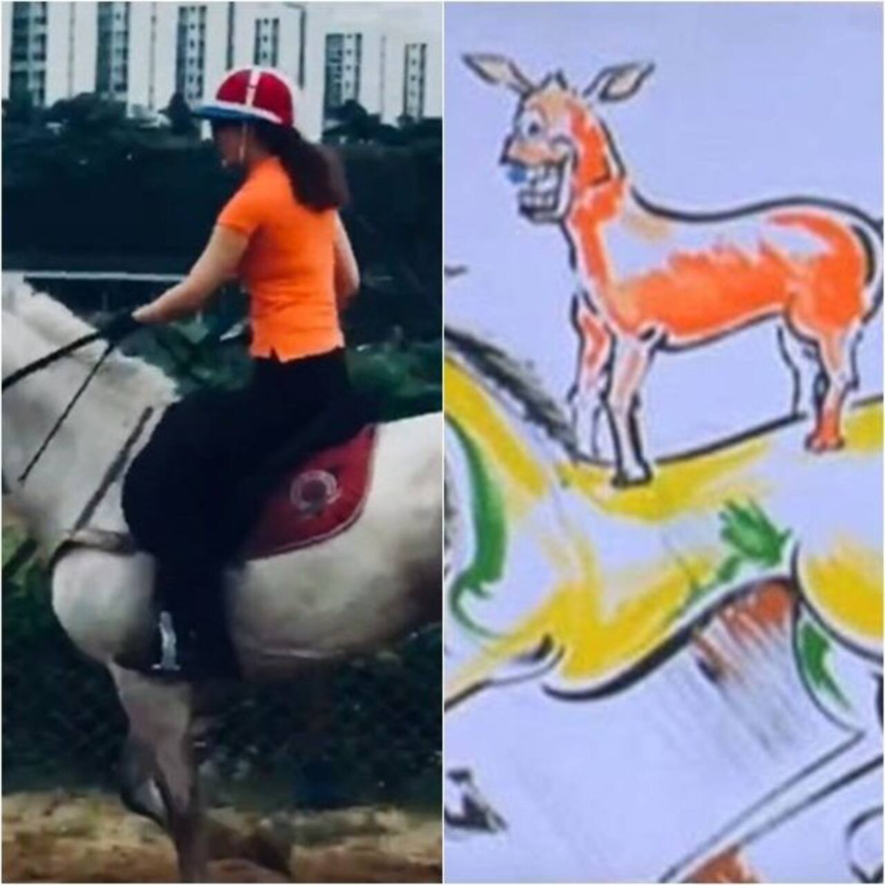 Kangana Ranaut's new horse riding video reminds netizens of Majnu bhai's painting from
