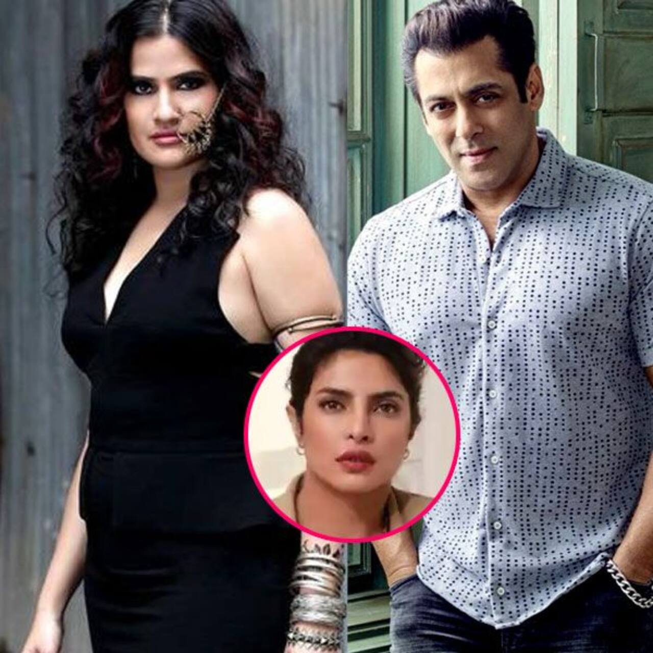 Sona Mohapatra gives a sarcastic reply to a fan who pointed out she was quick to slam Salman Khan but refused to credit him when Priyanka Chopra spoke of his kind gesture