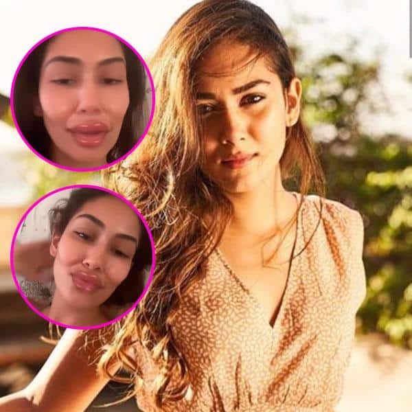 What Did Shahid Kapoor S Wifey Mira Rajput Kapoor Undergo A Lip Job Latest Pictures Will Leave You Baffled