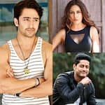 Did you know these popular TV stars REJECTED famous Bollywood films?