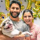 Samantha Ruth Prabhu – Naga Chaitanya divorce: The actress to get THIS whopping amount as alimony?