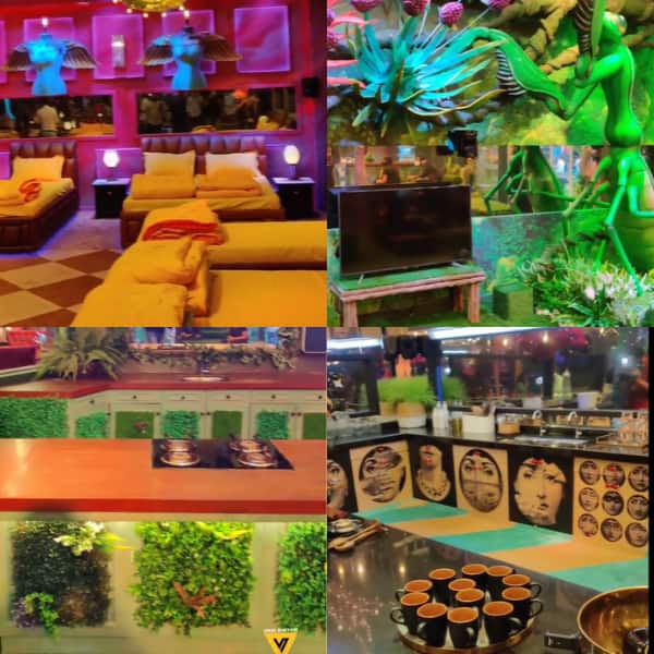 Salman Khan hosted Bigg Boss 15 house includes loads of exotic plants, animals and interiors – view pics thumbnail