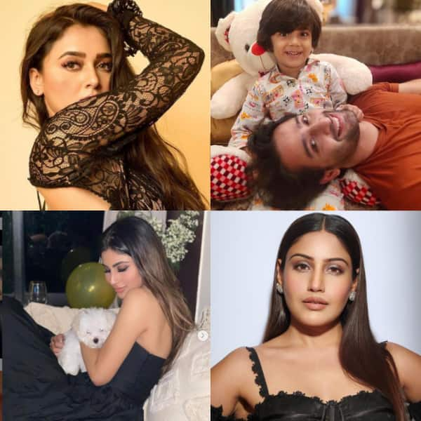 Shaheer Sheikh, Surbhi Chandna, Mouni Roy and more: Meet the Hot and ...