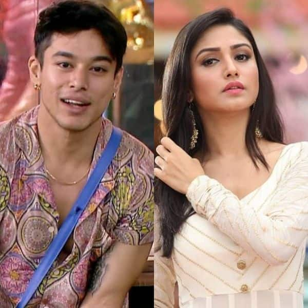 Bigg Boss 15: Do you feel that Donal Bisht should join team Nishant Bhat-Pratik Sehjapal? Vote Now