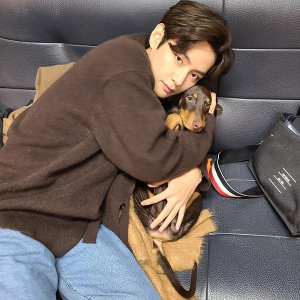 BTS Member V Surprises ARMY With A Throwback With Jungkook's Dog Bam ...