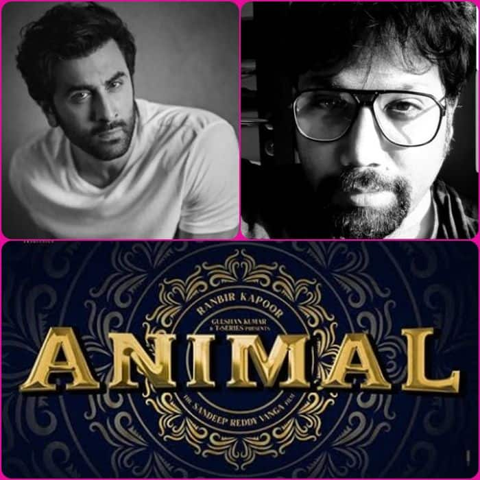 Animal Release Date Announced: लंबा होगा Ranbir Kapoor की फिल्म का ...