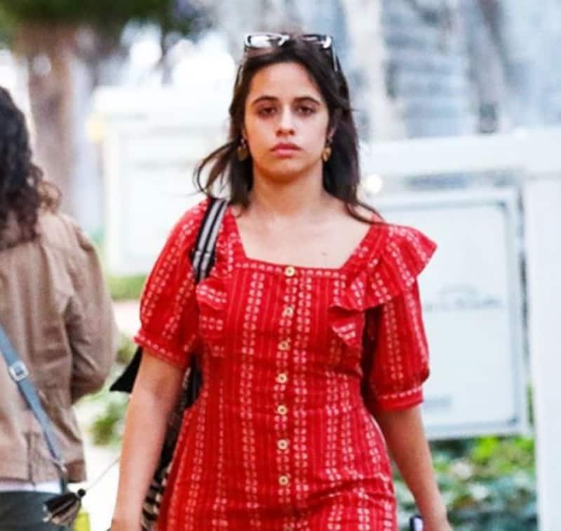 Camila Cabello 'heartbroken' after split with Shawn Mendes? Fans notice