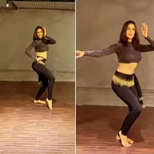 Vicky Kaushal's ex Harleen Sethi creates mayhem with her belly dance on Katrina Kaif's song Tip Tip - Watch