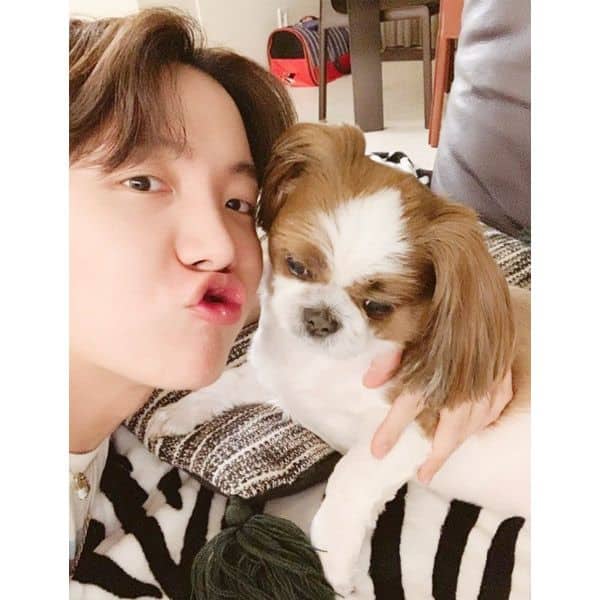 BTS member J-Hope's pet Mickey has a new favourite person and its not the  Korean rapper or his sister; can you guess that special guy?
