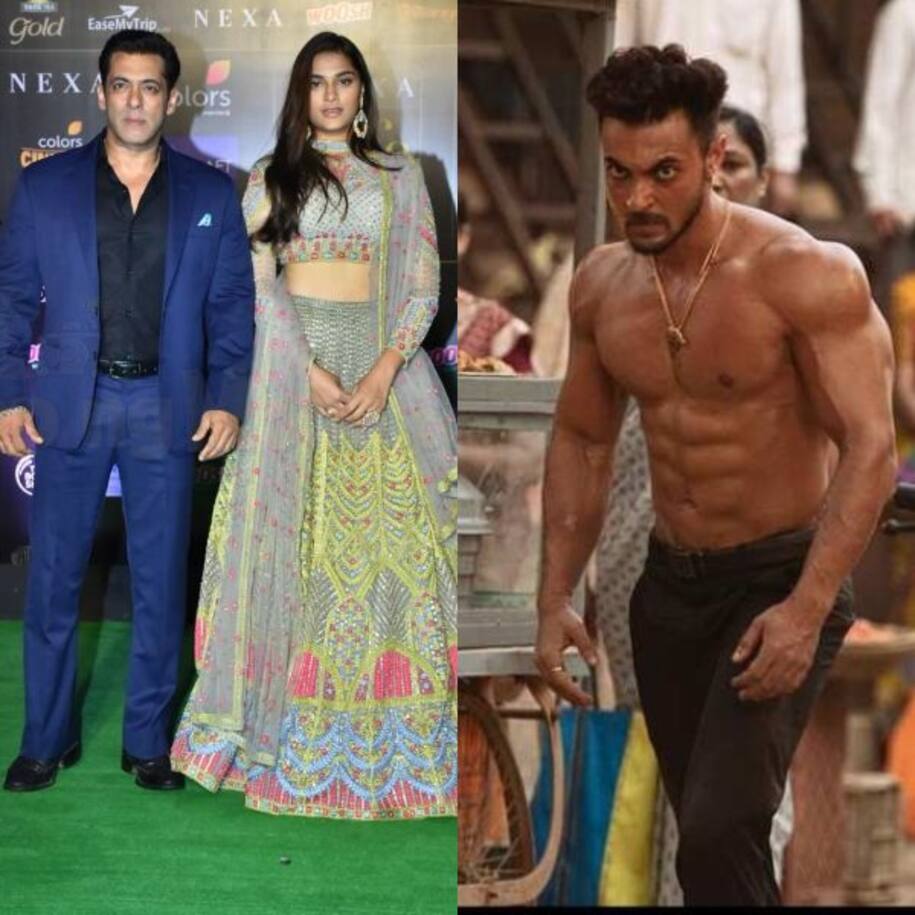 Antim: SAY WHAT! We never thought director Mahesh Manjrekar's daughter and Salman Khan's Dabangg 3 heroine Saiee Manjrekar would say this about Aayush Sharma [EXCLUSIVE]