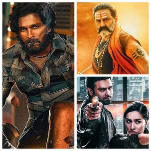 Pushpa Trailer ने 24 घंटों में चटाई Saaho और Akhanda को धूल, बनाया ये रिकॉर्ड