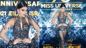 Cost of Urvashi Rautela's sheer gown for her appearance at Miss Universe 2021 will leave you giddy