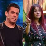 Bigg Boss 15: Shehnaaz Gill to lead the show in the absence of Salman Khan, replaces Bhaijaan overnight?
