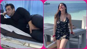 Entertainment News of The Day: Salman Khan को सांप ने काटा, Shraddha Arya की हनीमून फोटोज ने हिलाया इंटरनेट