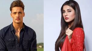 दोस्त की सगाई में नाचने पर Asim Riaz ने मारा Shehnaaz Gill को ताना, फैंस को लग गई मिर्ची !!