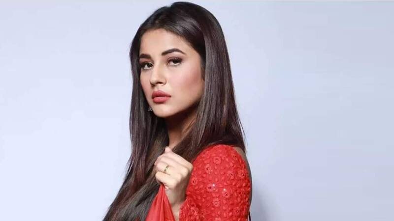 Fans celebrate Bigg Boss 13 star Shehnaaz Gill's birthday