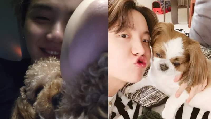 BTS: Suga shares first ever picture of his pet dog Holly; not just ARMY ...