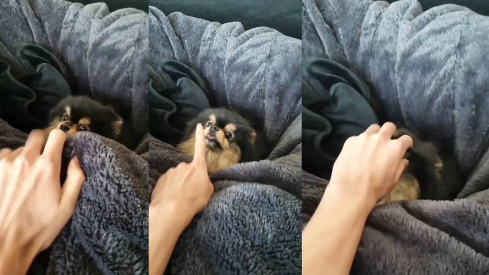 BTS V loves comfort