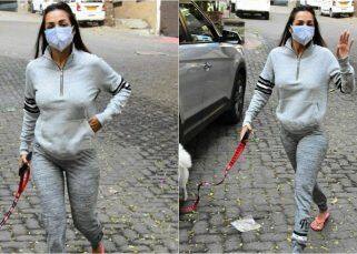 Malaika Arora goes braless in a sweat shirt and track pants as she steps out to walk her dog – view pics