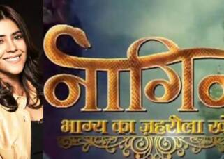 Naagin 6: From storyline to 55 actresses being auditioned – 5 updates about Ekta Kapoor's supernatural show that will leave fans excited